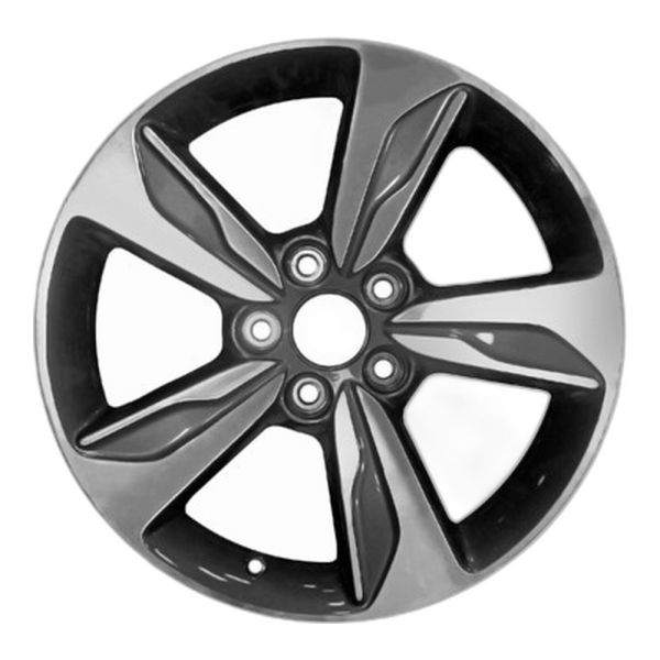 1_size101577_ALY64119U35U1