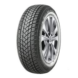 GT Radial WinterPro2 205/55R17XL