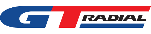 GT Radial WinterPro2 Sport 235/35R19