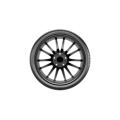 Pirelli P Zero MS 255/45R20XL