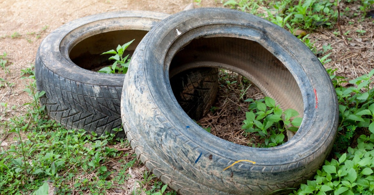 Two discarded car tires lying on dirt and grass, with weeds growing inside and around them in an outdoor area.